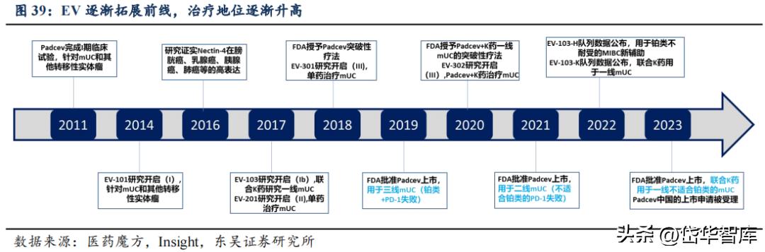 有效避开内卷，迈威生物：ADC锋芒初显，快速成长的Biopharma