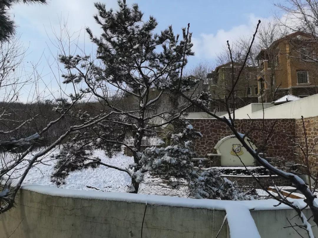 营口思拉堡温泉小镇违建别墅,盖州思拉堡温泉小镇违建