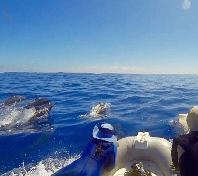 汤加是属于哪个洲,汤加王国是贫穷国家吗