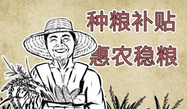 种粮补贴没有按实际亩数补,种粮补助没有到哪个部门找