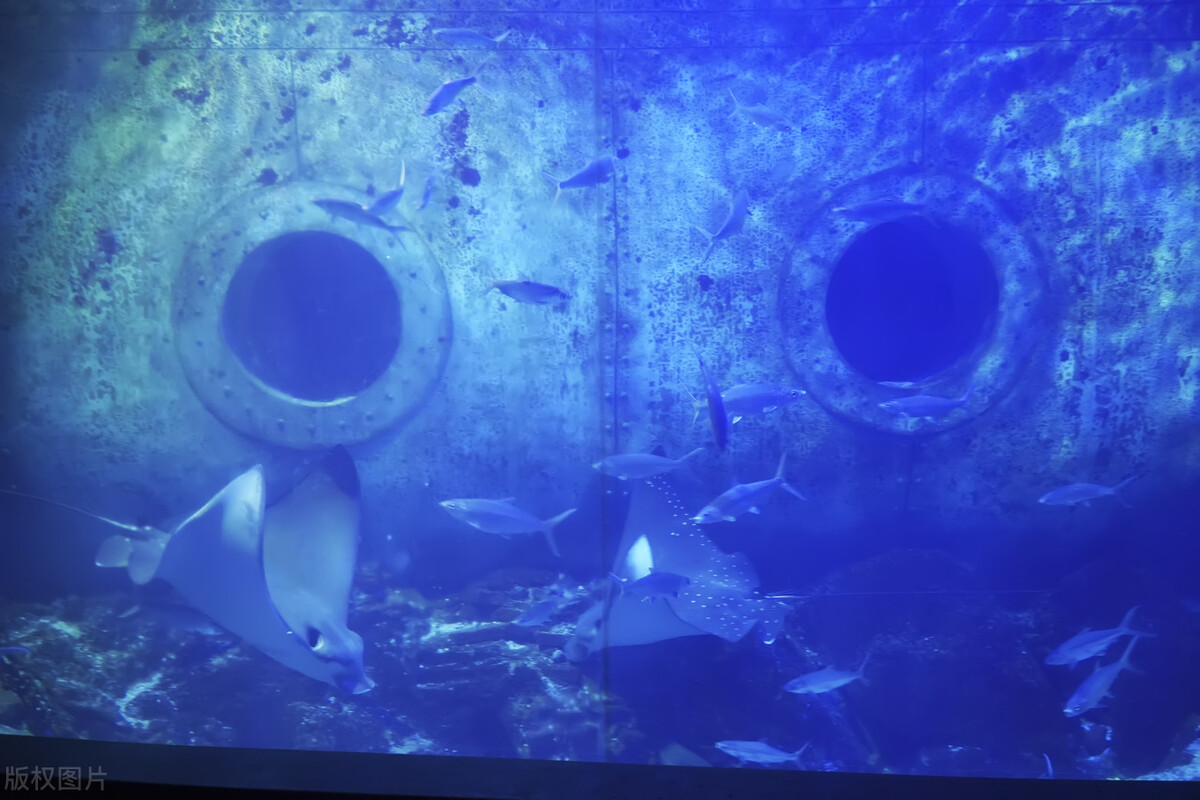 大连有什么名胜古迹,辽宁大连简介