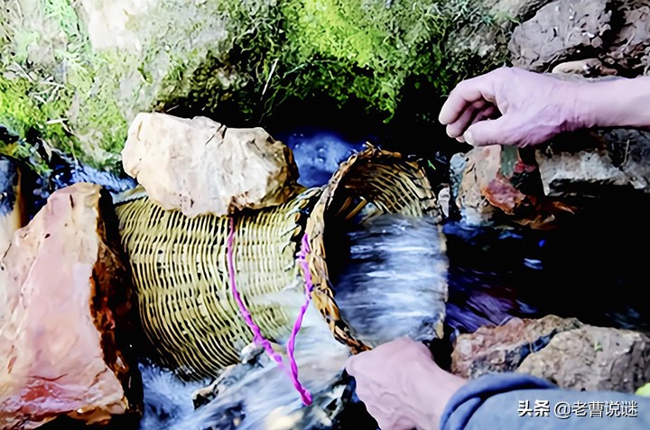 清明节前捕捞的鱼,清明节可以杀鱼吃吗