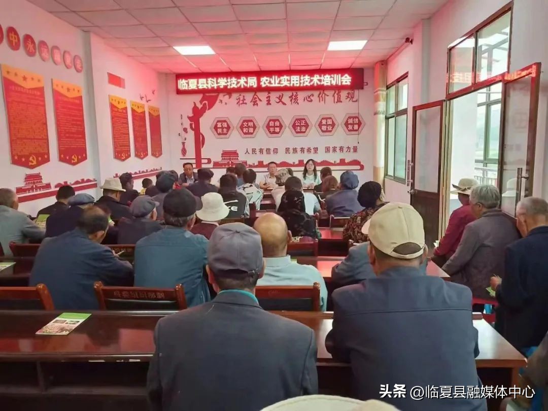 三抓三促临夏州,三抓三促甘肃在行动