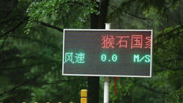 猴石森林公园攻略,猴石国家森林公园发展