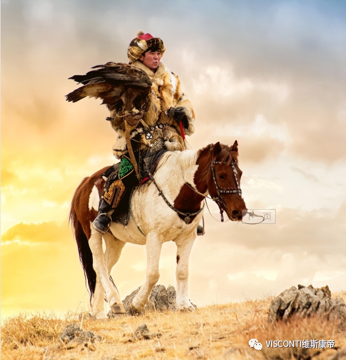 万类霜天竞自由——Visconti维斯康帝致敬古老驯鹰人