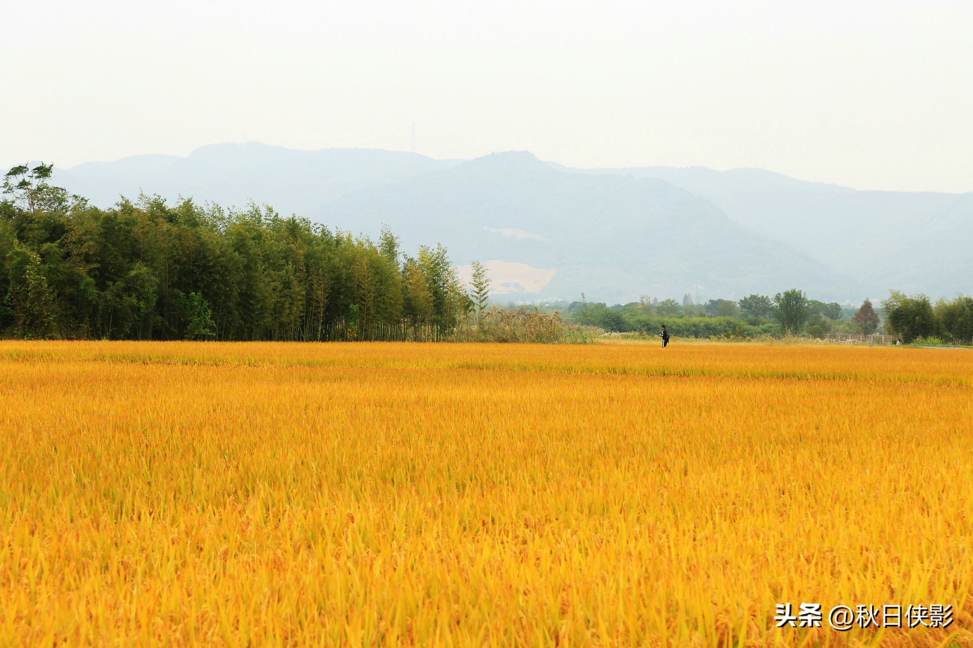 杭州周边秋日赏景好去处,杭州周边当季旅游景点推荐