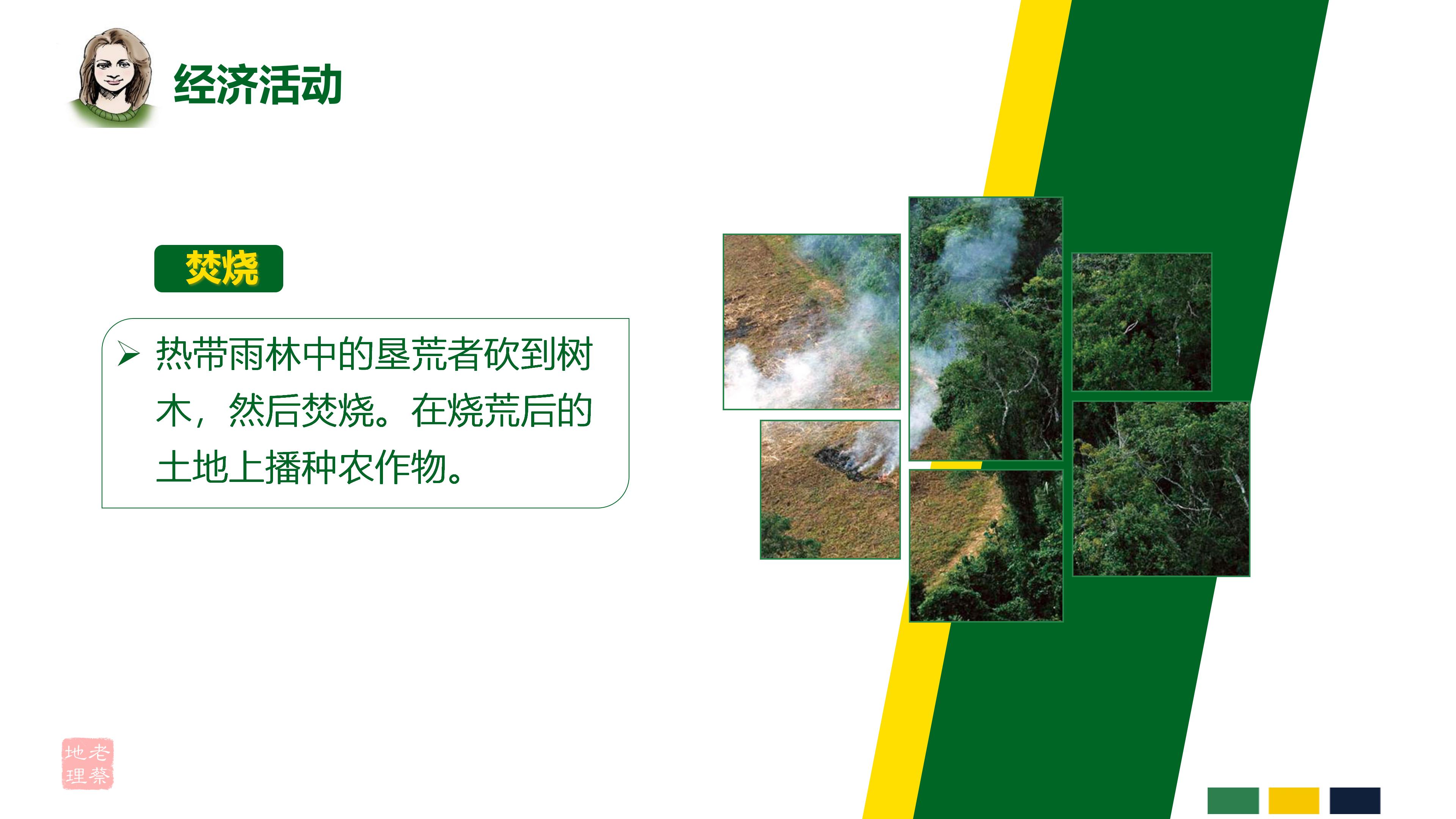 七年级下册地理第九章第二节巴西,七年级下册地理巴西2