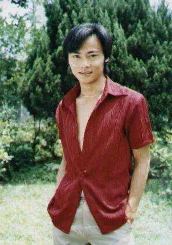 说出15个川渝地区的男明星,巴蜀美男子