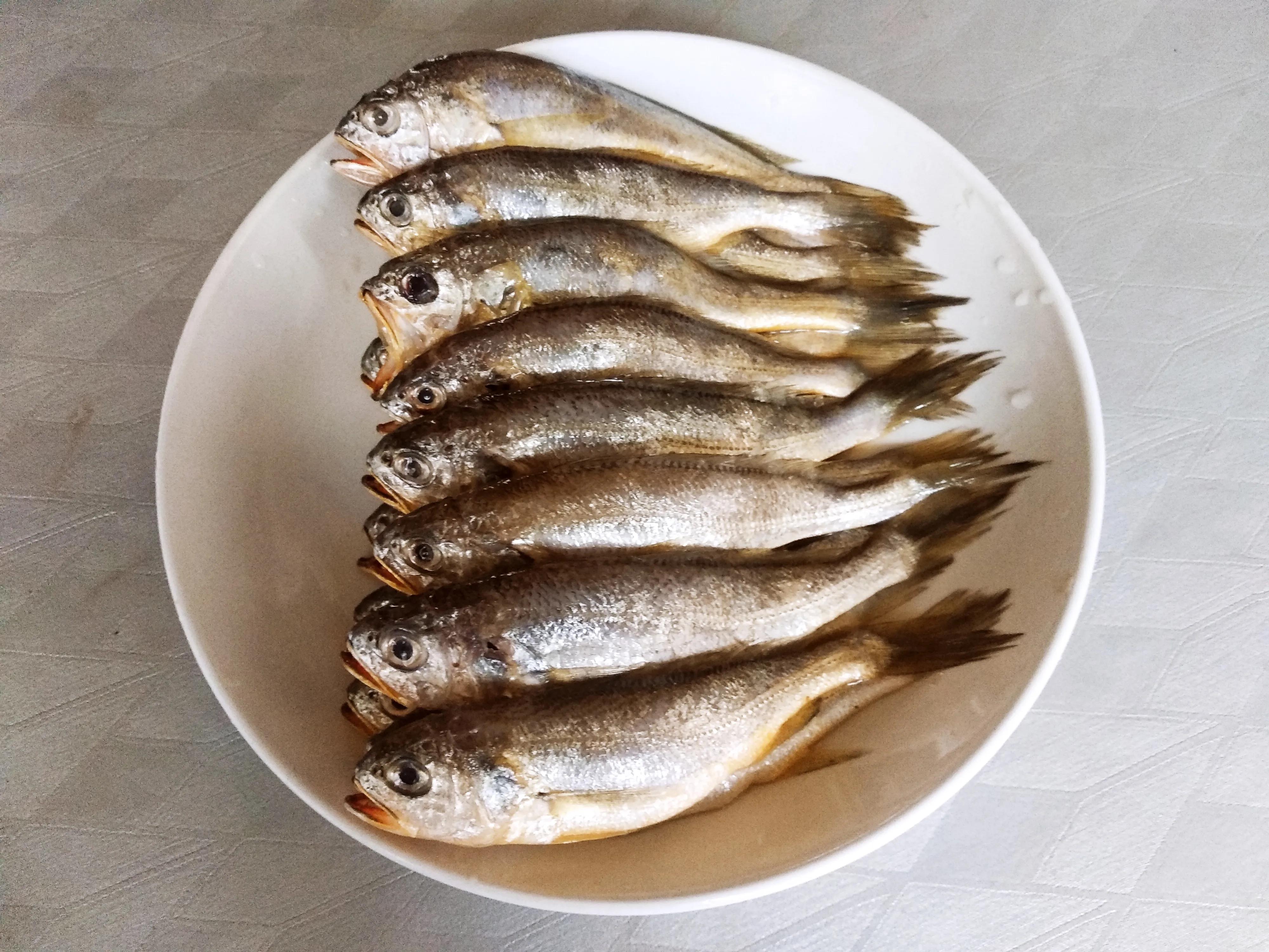 30种最常吃的海鱼图片大全,比较常见可以吃的海鱼