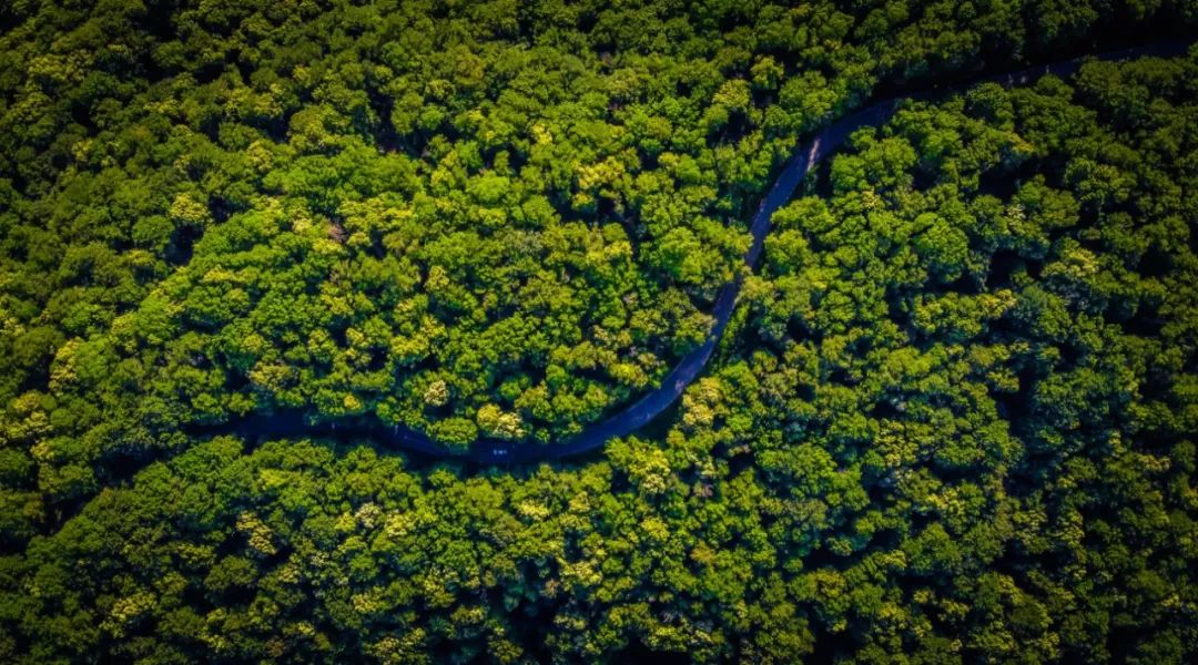 你不知道的英国女王：一位硬核环保主义者