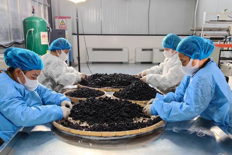 创新创业智能大赛,创新创业大赛智慧农业