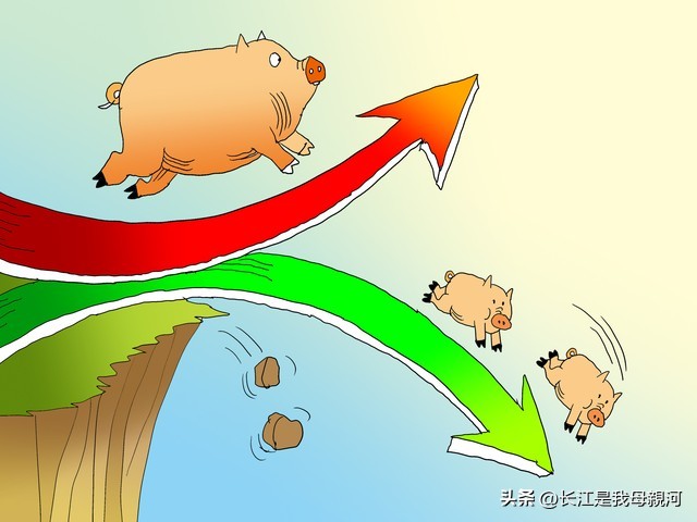 生猪价格回暖猪周期拐点来了吗,生猪行情有变化