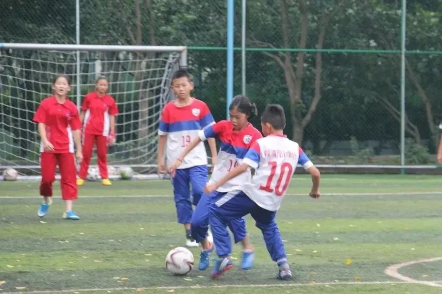 全国青少年校园足球联赛2024校园,全国青少年校园足球联赛东南赛区