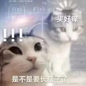 聪明水动画,聪明水的功效和作用