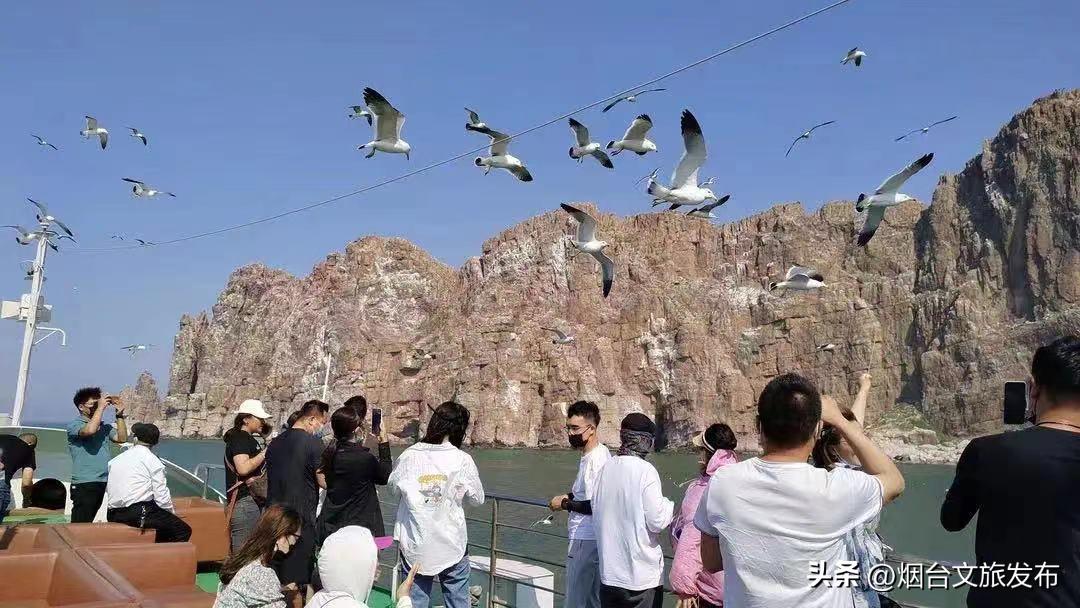 粽情端午季,粽情端午玩转假期