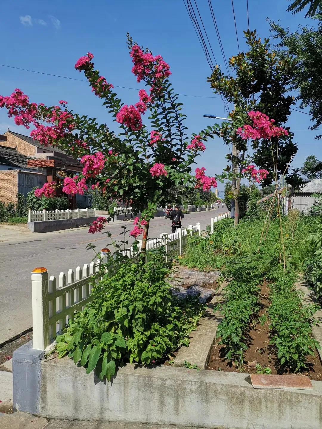 住院散文500字,住院文