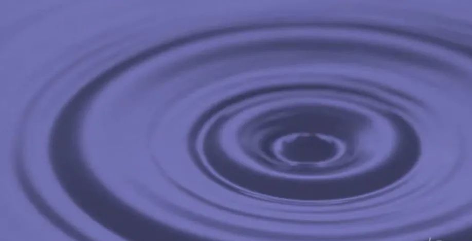 意大利世霸维纳斯音箱测评,德国原装进口帝风维纳斯音箱