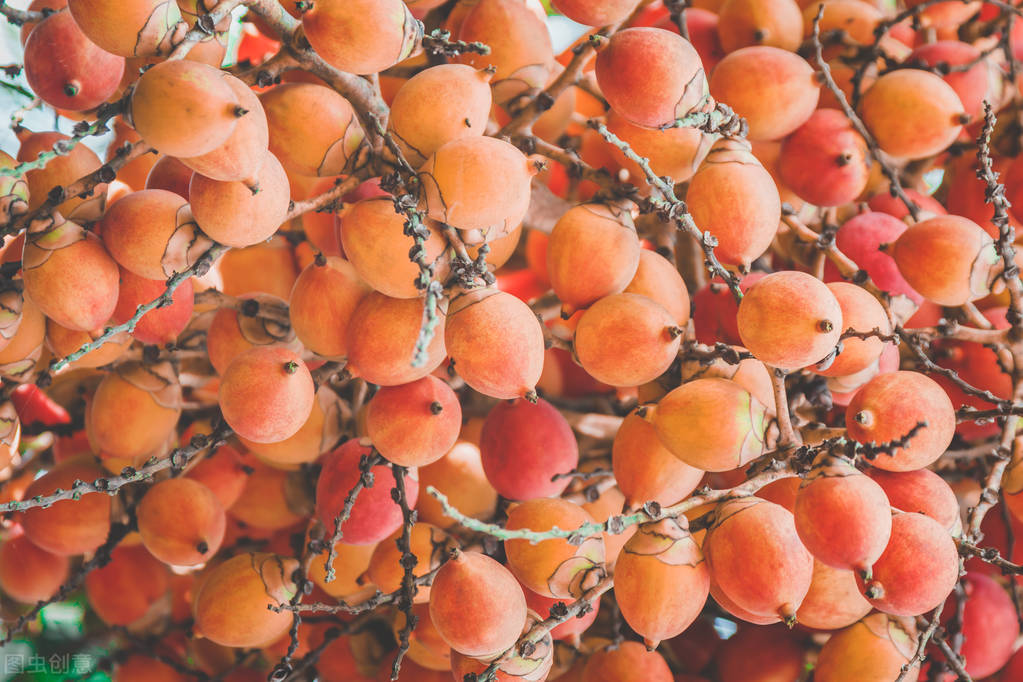 槟榔价格为什么暴跌,导致槟榔价格下跌的原因