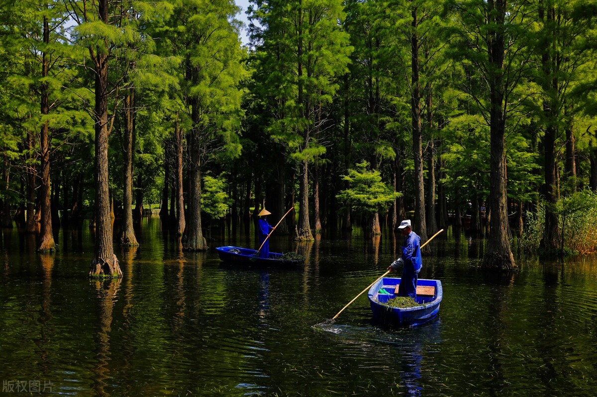 上海游玩免费景点推荐,上海推荐逛的免费景点