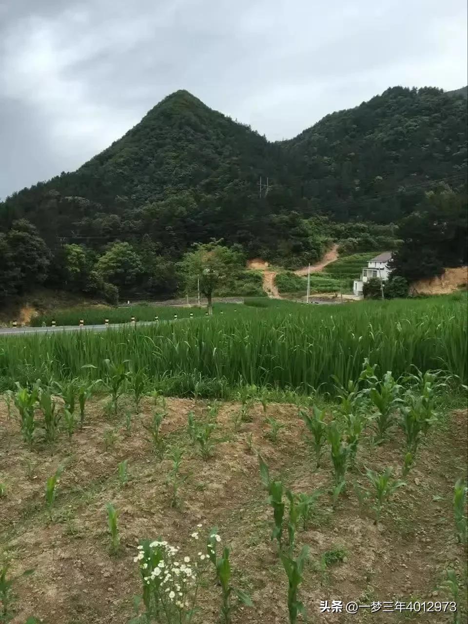 豪爵uhr150踏板水冷极速多少,豪爵uhr150踏板最新评测