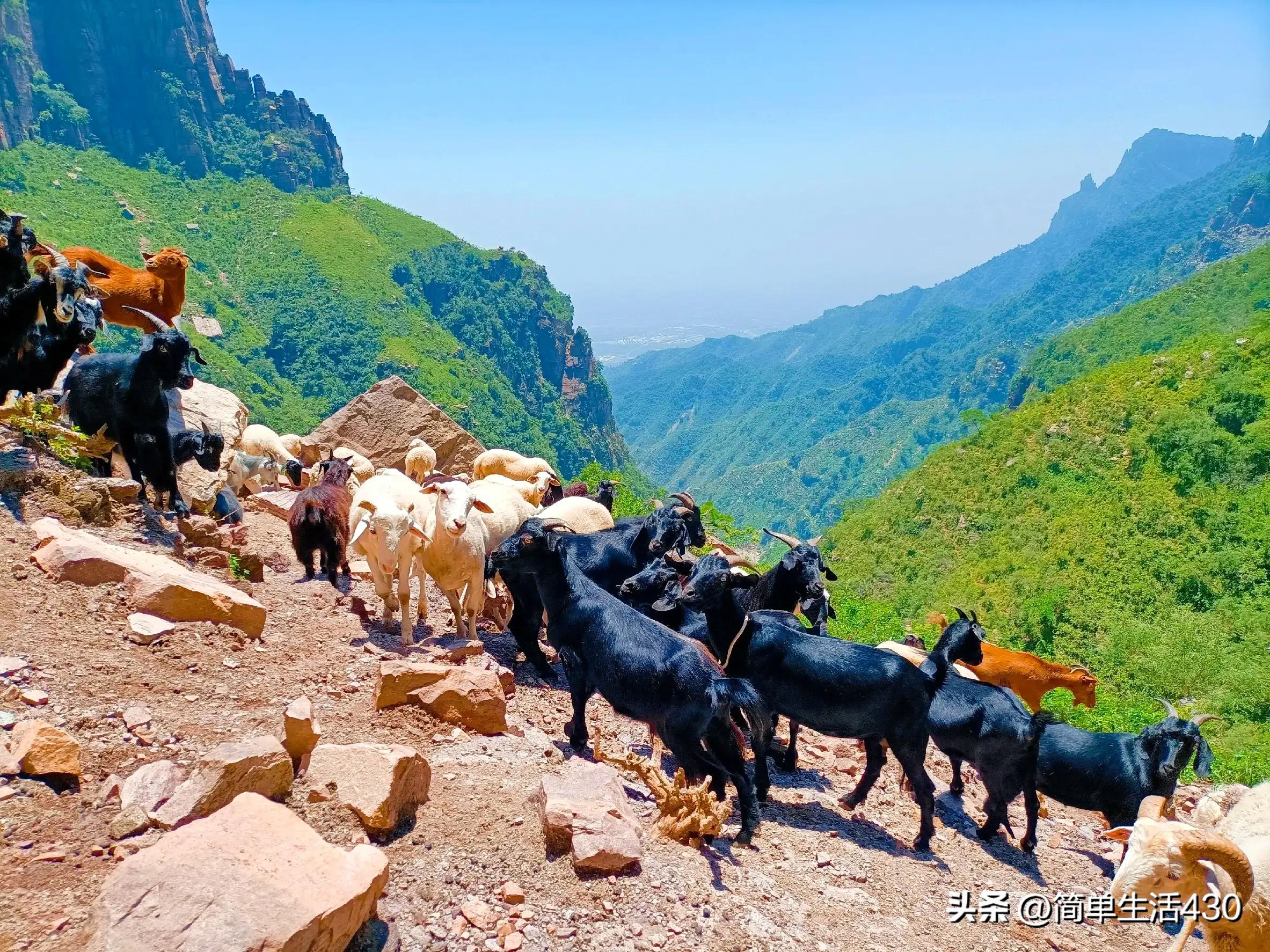 徒步穿越南太行山经典路线,夏季徒步太行山攻略