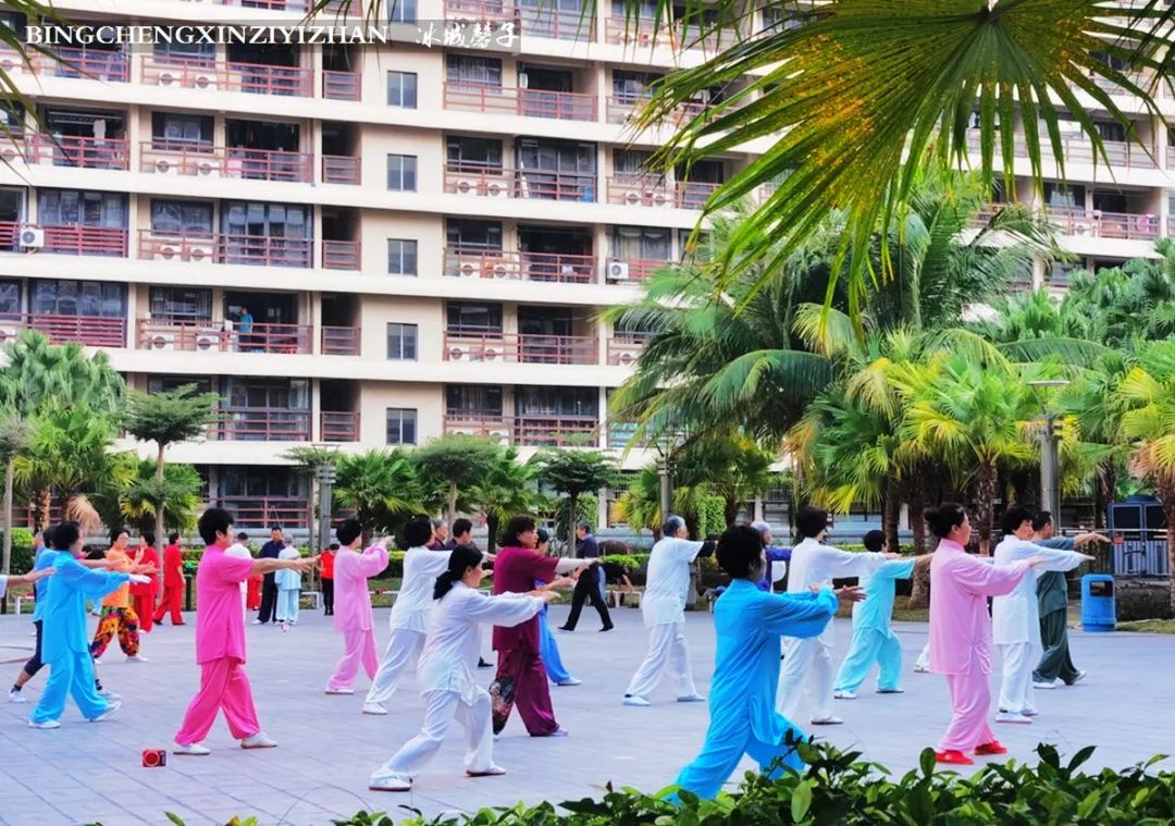 旅居海南：九所新区的浪漫情