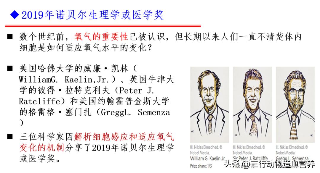 华南农业大学专家:氧气不仅是呼吸,还是一种营养