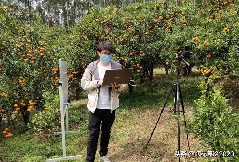 生态农业做什么最赚钱,十大前景最好的农业项目