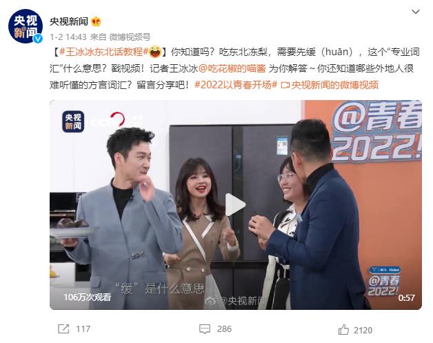 央视记者王冰冰走红原因图文,央视女记者对王冰冰的评价