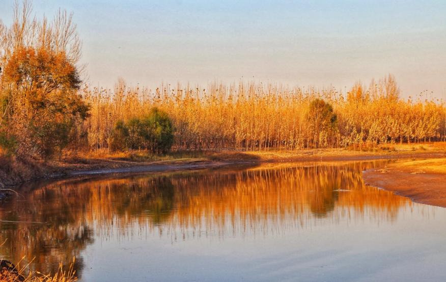 古诗词里的冬日温暖,古诗词里最美的冬天句子