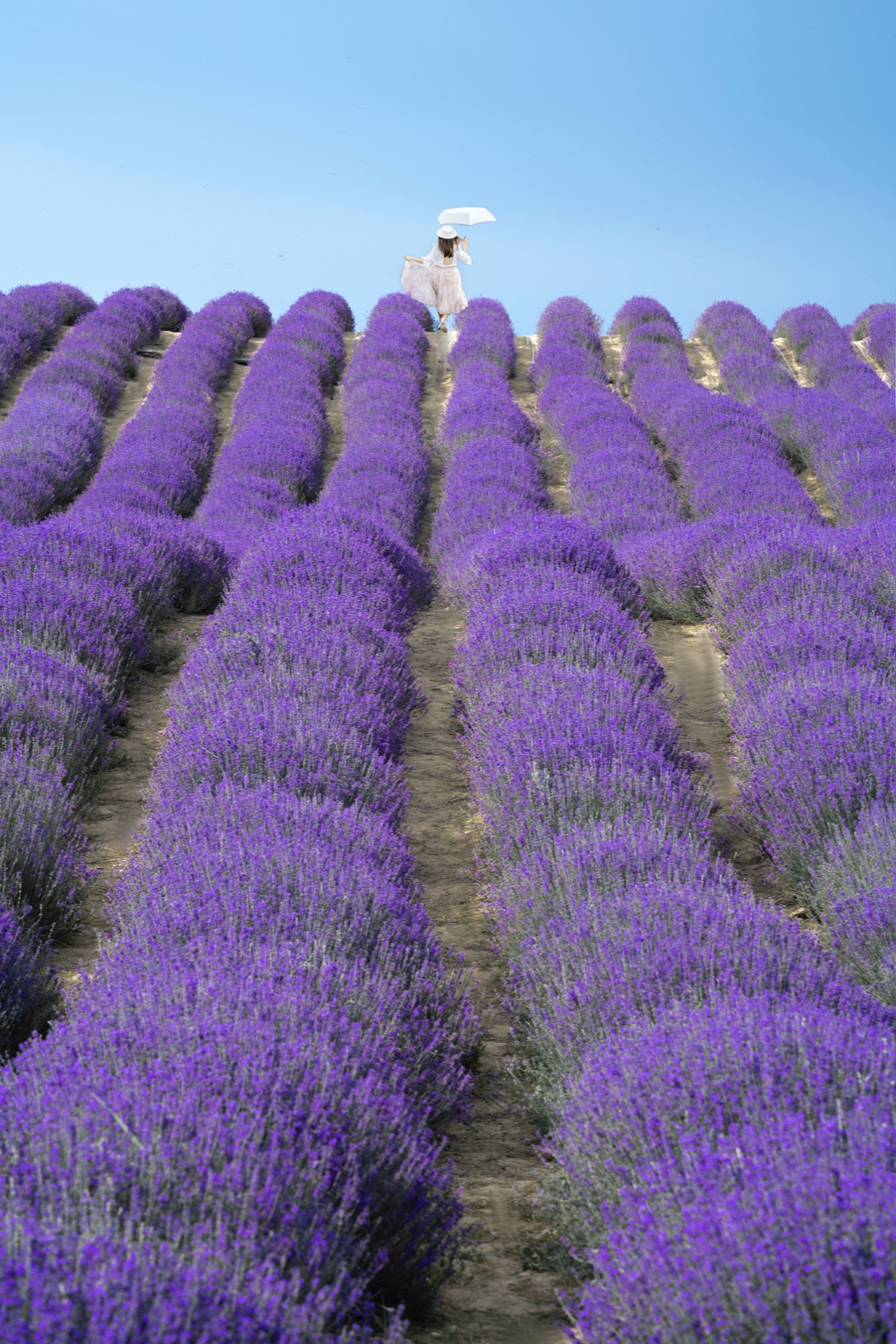 新疆伊犁之美,走了一圈才发现世界万物远不及你