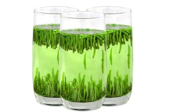 热水泡茶和冷水泡有什么区别吗,泡茶是冷水泡还是热水泡