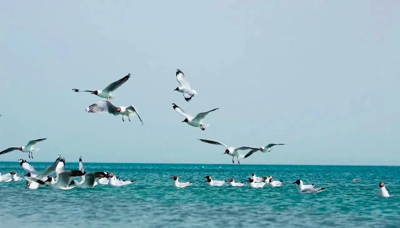 和大自然一起去旅行,和地理老师一起去旅行