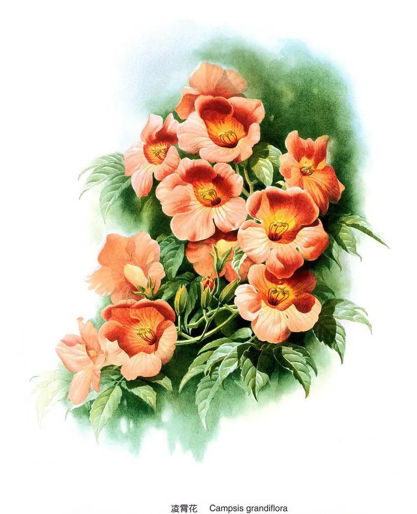 dior鏈嶈鍚勪釜鏃舵湡椋庢牸鐗瑰緛婕斿彉,dior50骞翠唬鏈嶈鐗硅壊