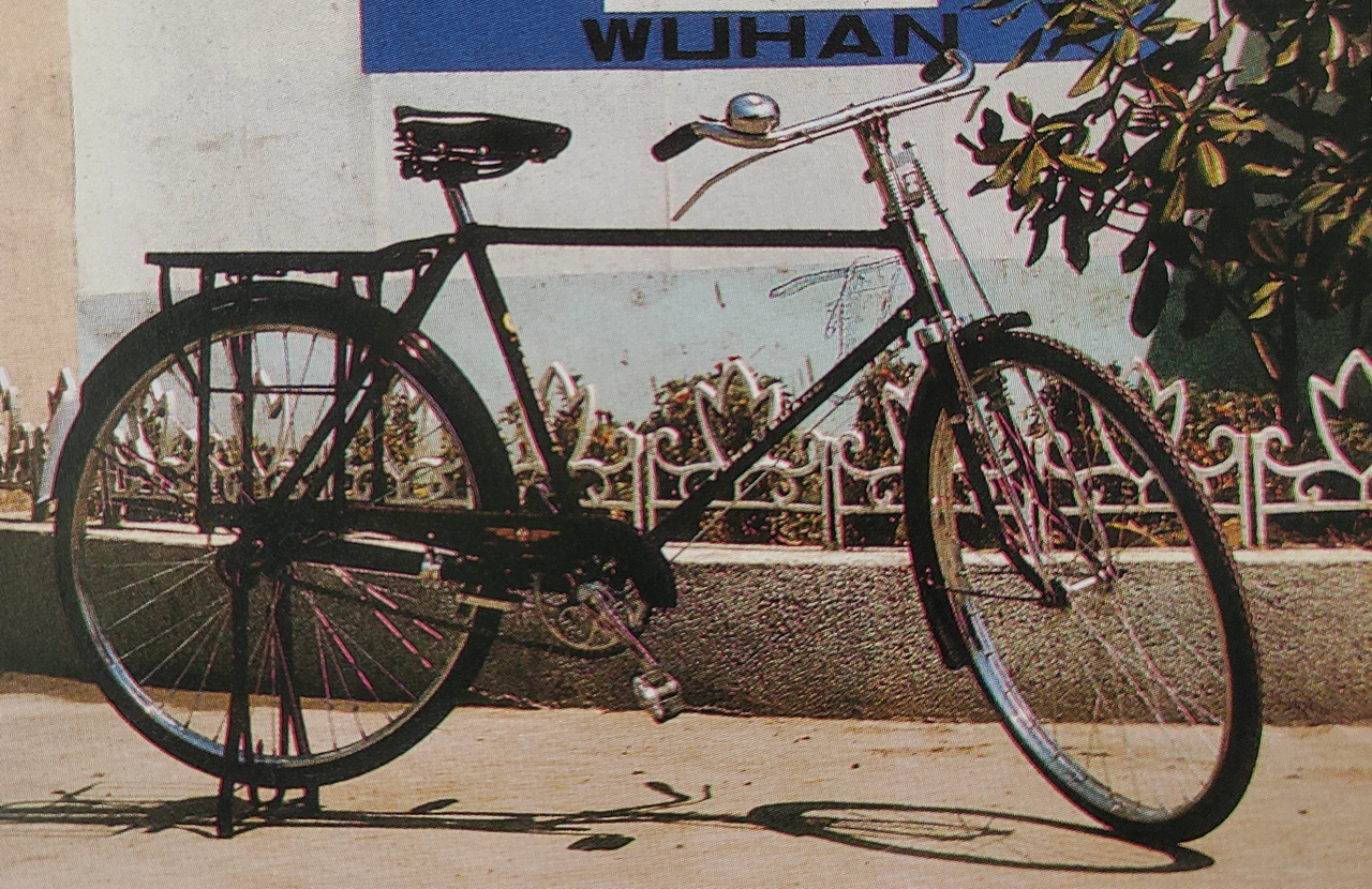 大武汉系列之264：武汉自行车一厂
