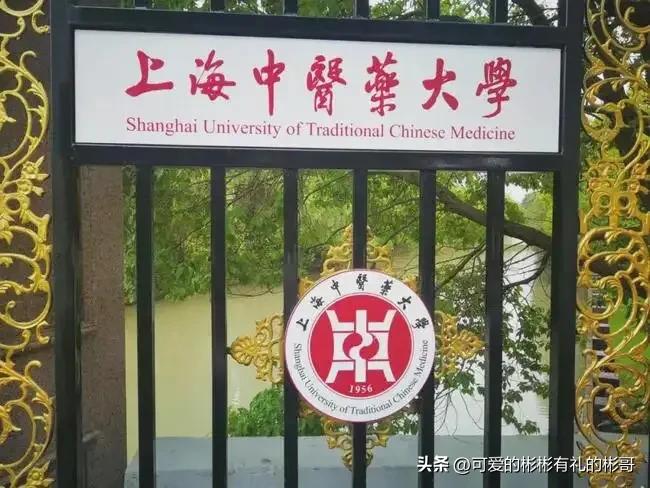 上海中医药大学，中医类排名全国第二，就业优势大前景好