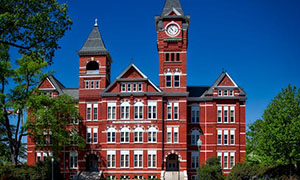 如何加强科室护理团队建设,护理团队建设课件