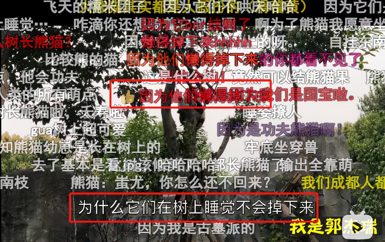 你只有在成都谈恋爱，才不会分手