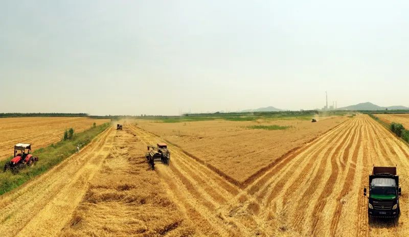 今年安徽64.7万学子报名高考，所有考点均设智能安检门