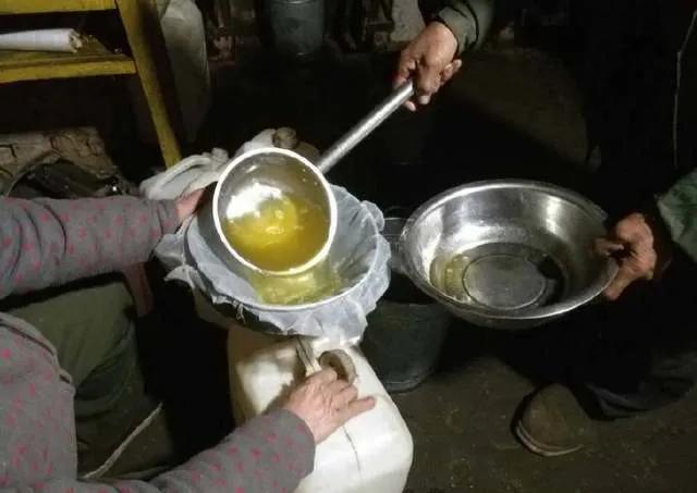 自榨油致癌哪个专家说的,自榨油被列为一级致癌物