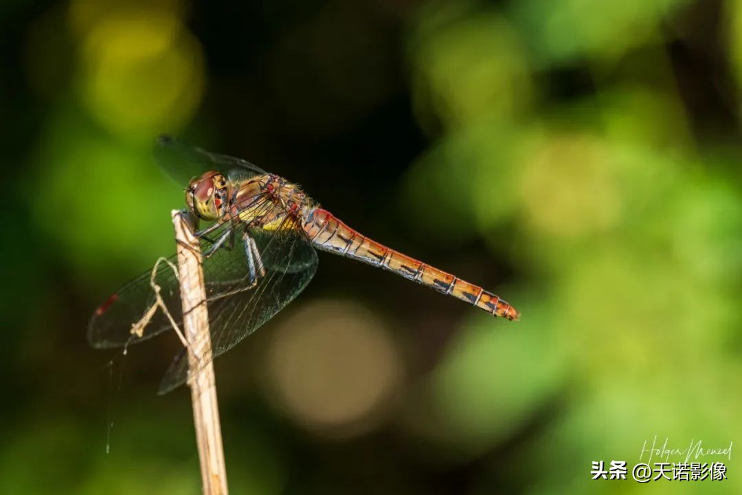 徕卡sl2-s对比徕卡sl2,徕卡相机追光逐影