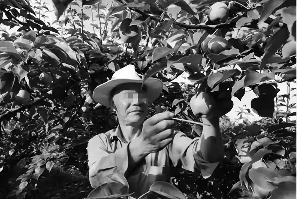 少女被山西变态男骗进“地下淫窝”封妃，出逃失败惨遭凌虐致死！