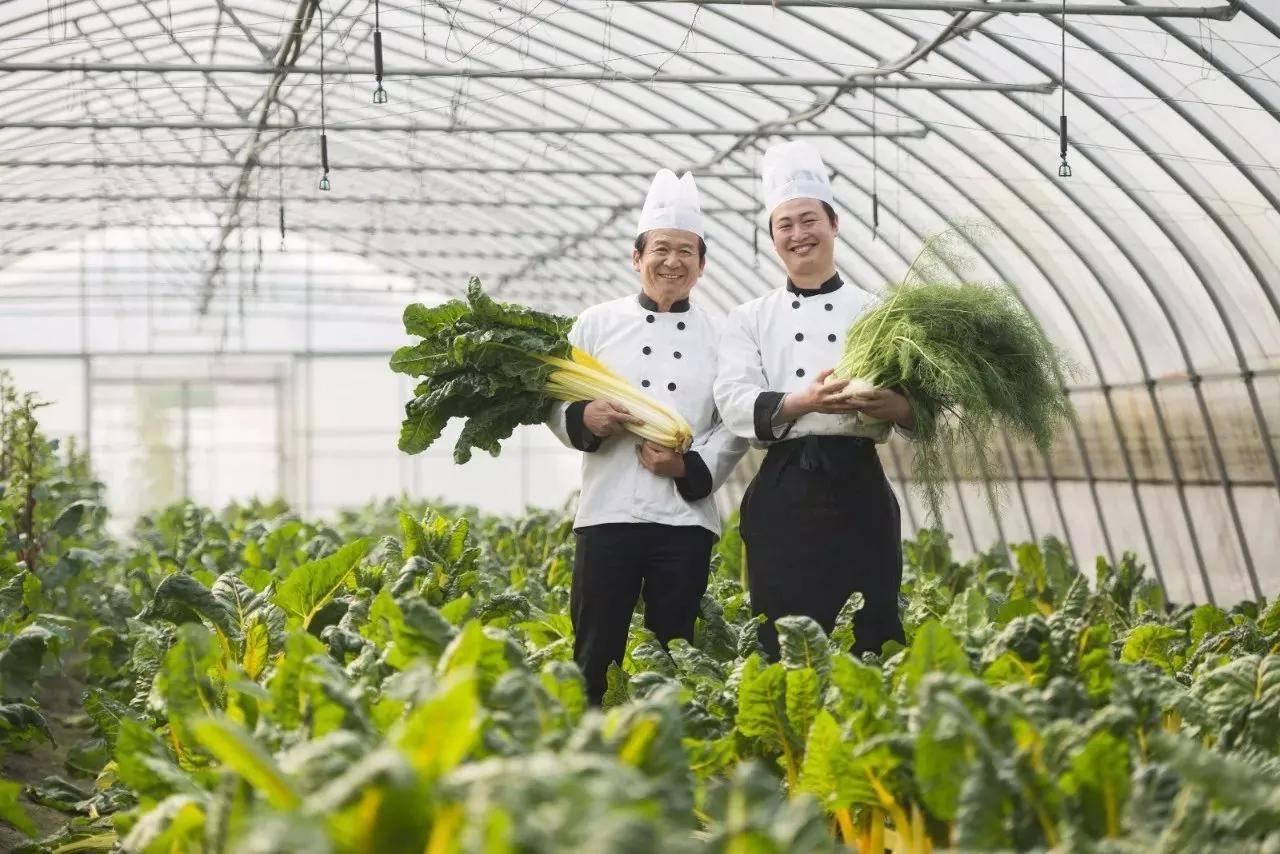 疫情下别墅涨价的原因是什么,别墅在疫情下价格上涨了吗