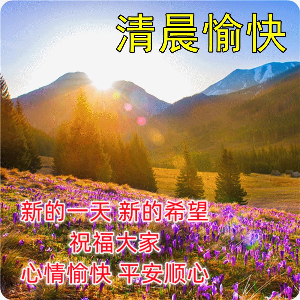 早上好最漂亮问候语动态表情图片,最美早安问候图片带字动态