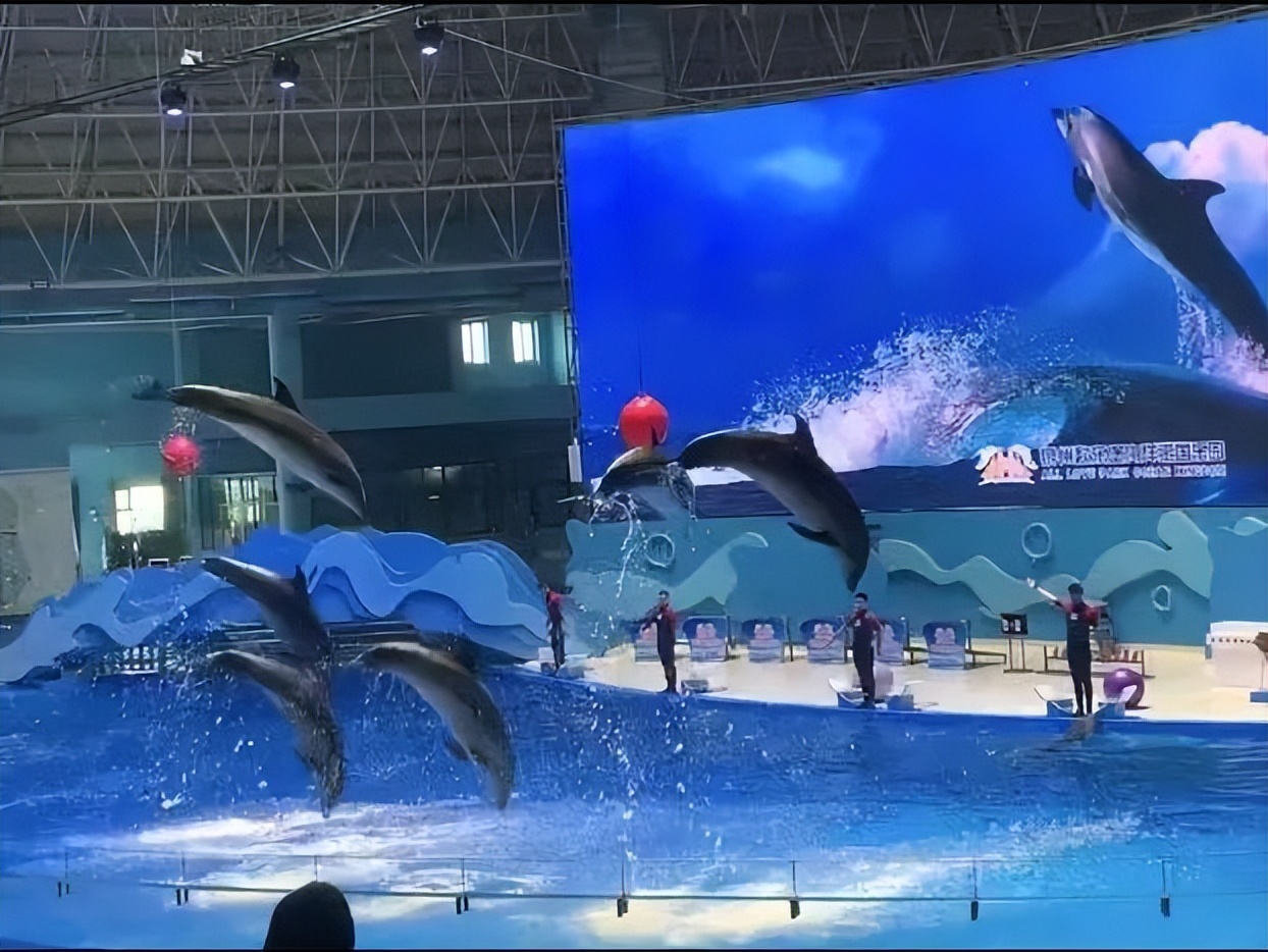 南安市总工会开展“爱心牵手·梦想启航”关爱新南安职工子女系列活动