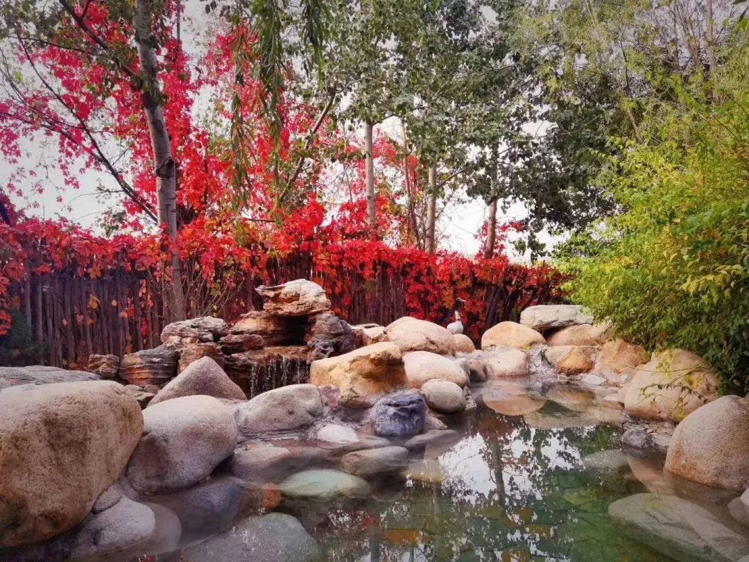 打卡太原古城,晋阳里能看到如梦晋阳表演吗