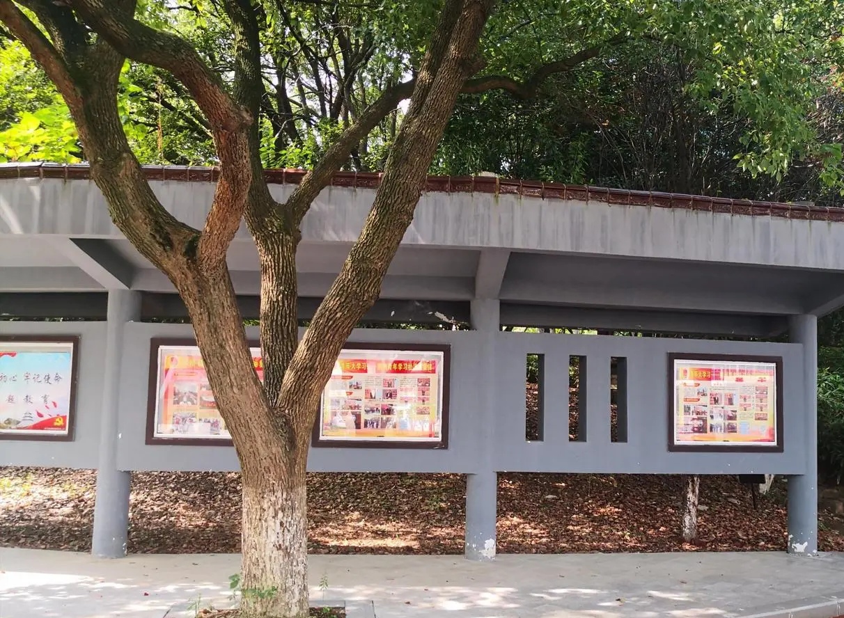 宜兴和桥建湿地公园,宜兴和桥公园