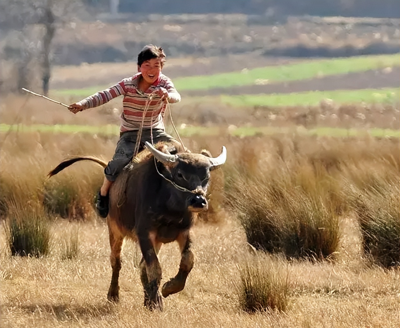 1947年，开国中将聂凤智抓到一个国军军长，陈毅元帅却下令放人