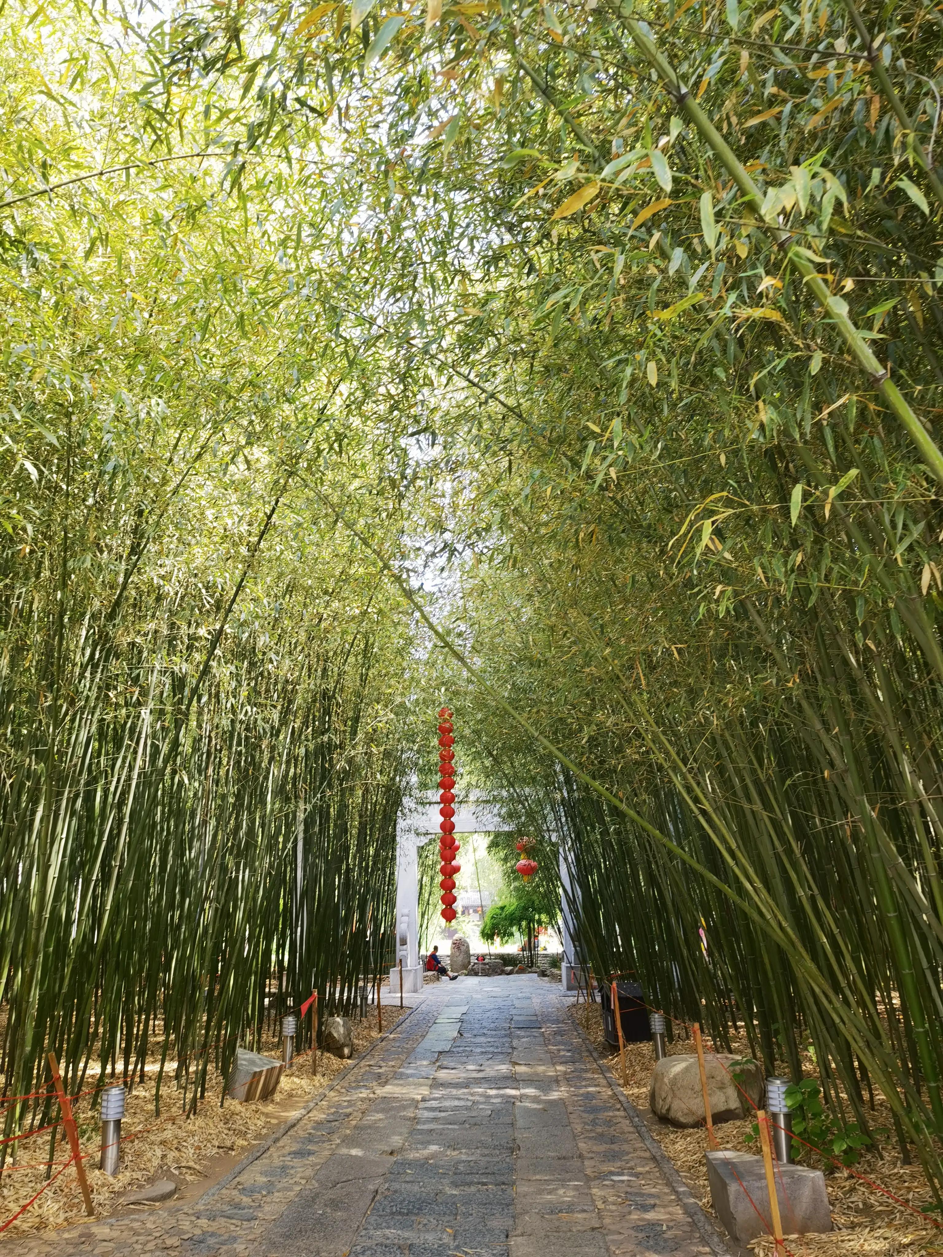 山东自驾游竹林小镇,五一自驾游推荐洞林湖