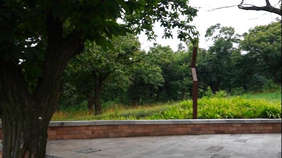 李忠强简介,河南安阳李忠强